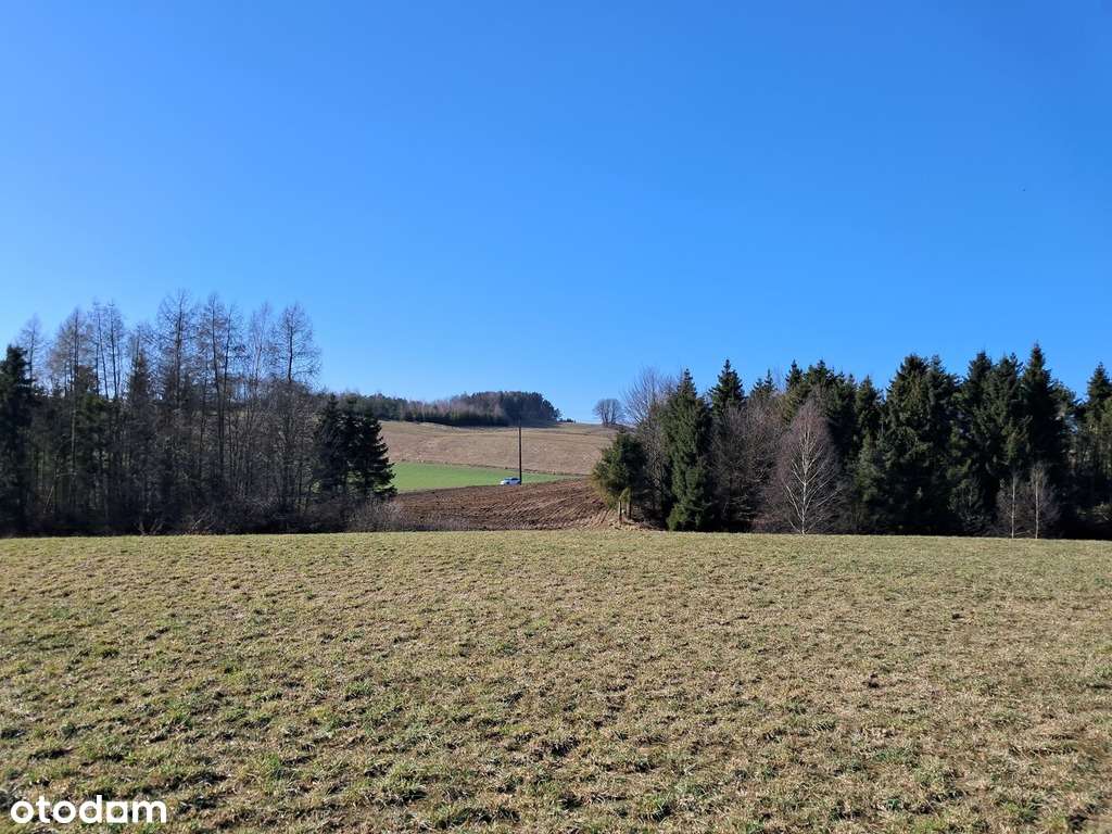 Działka w Borzestowie z potencjałem - Pełny obrazek: 5/5