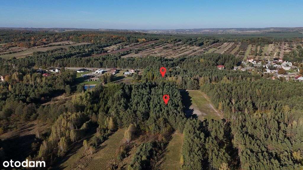 Działki w spokojnej okolicy–Dyle - 1,88 ha-6