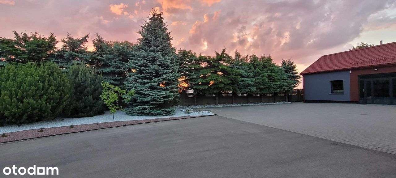 Budynek magazynowo- handl. obok s17 na działce 1ha - Pełny obrazek: 4/15