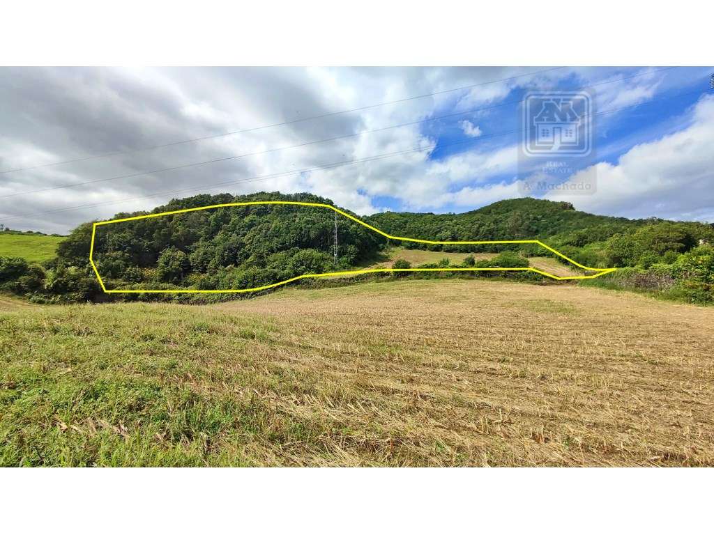 VENDA de TERRENO RÚSTICO - São Roque, Ponta Delgada, Ilha de São Mi... - Grande imagem: 2/33