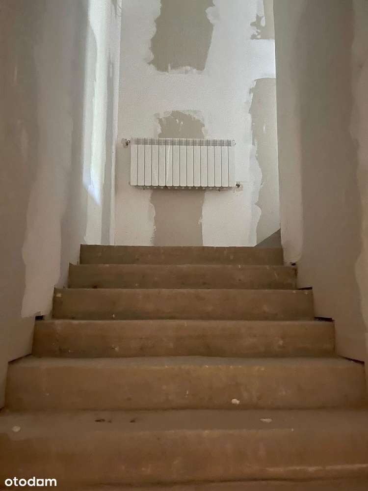 Obiekt mieszkaniowo -usługowy na 1,35 ha działce- LUBIEŃ-11