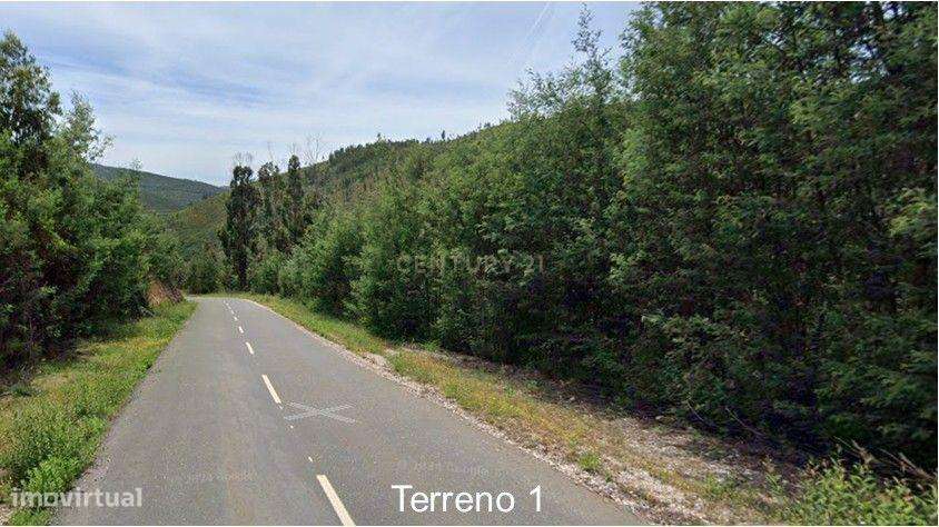 Terrenos Rústicos | Pescanseco Fundeiro | Pampilhosa da Serra - Grande imagem: 5/5