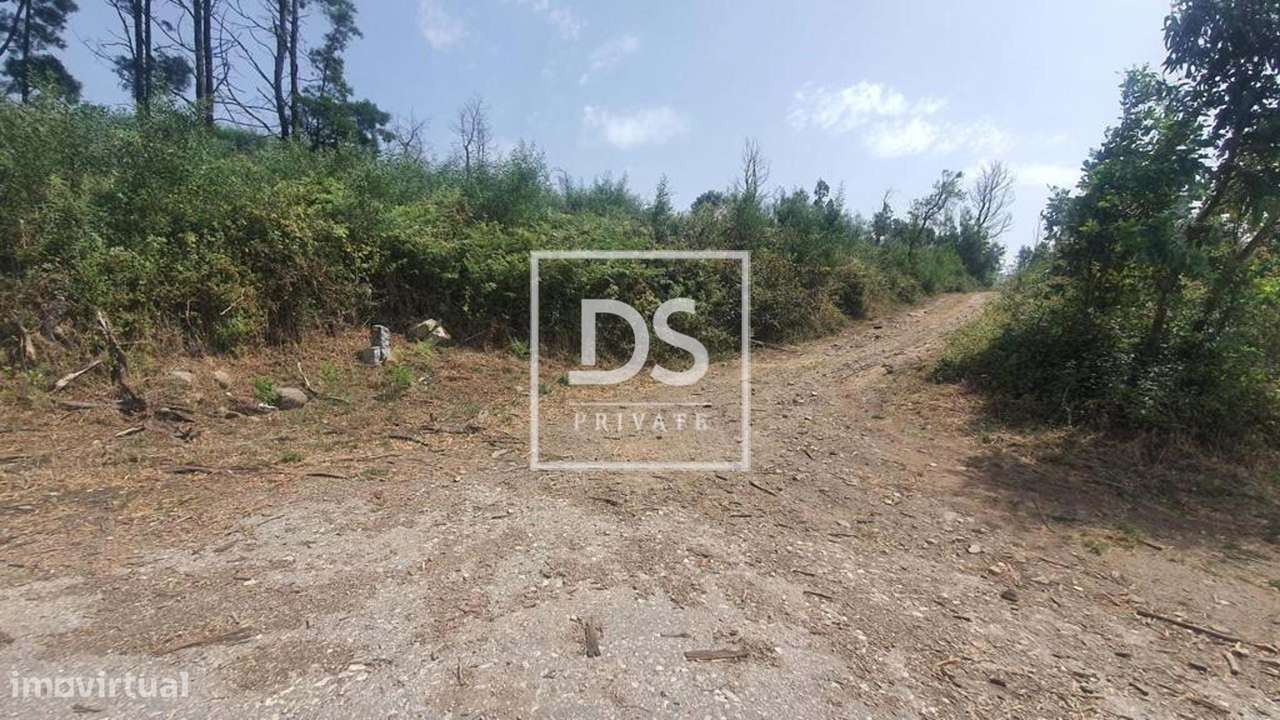 Terreno Não definido em Monchique - Grande imagem: 3/23