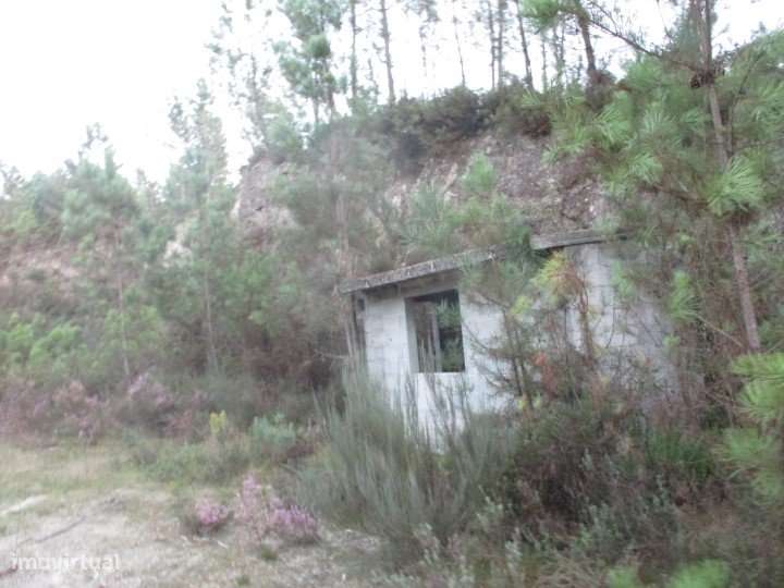 Terreno em São Pedro do Sul, Sul - Grande imagem: 4/9