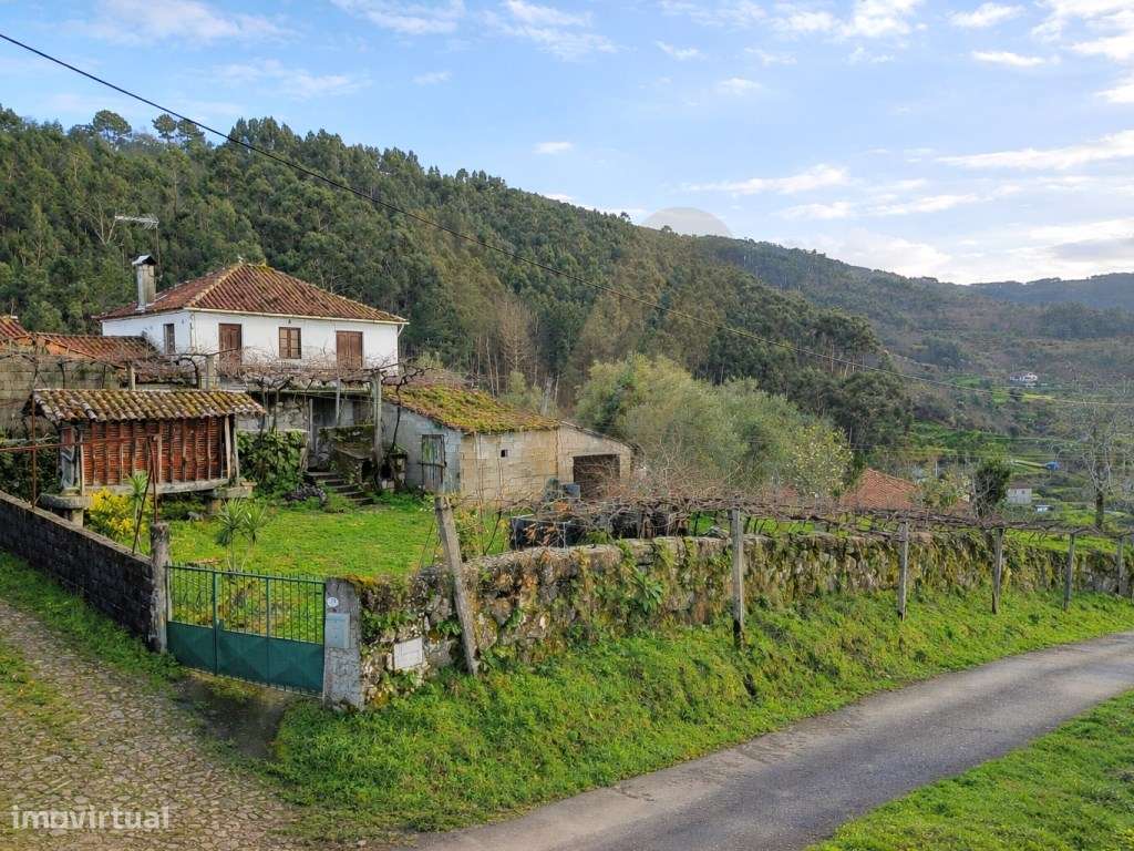 Propriedade com Casa Antiga T3 para Restauro - Beiral do Lima - Grande imagem: 4/27