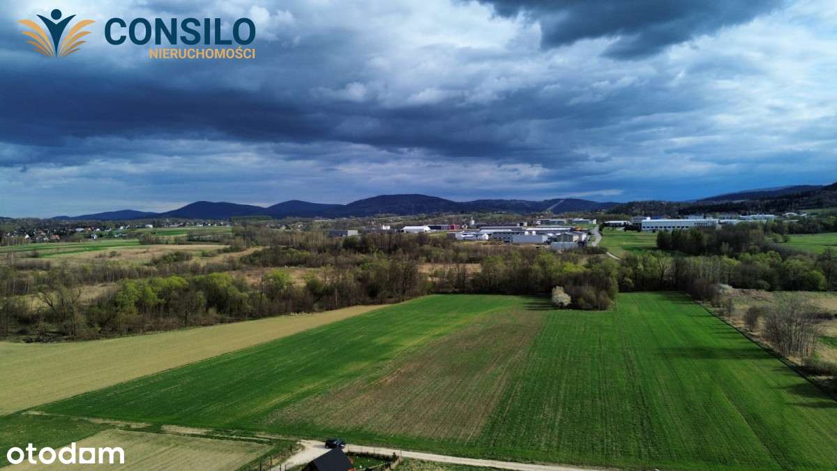 Na sprzedaż  działka inwestycyjna 1,28 ha Jawornik - Pełny obrazek: 3/6