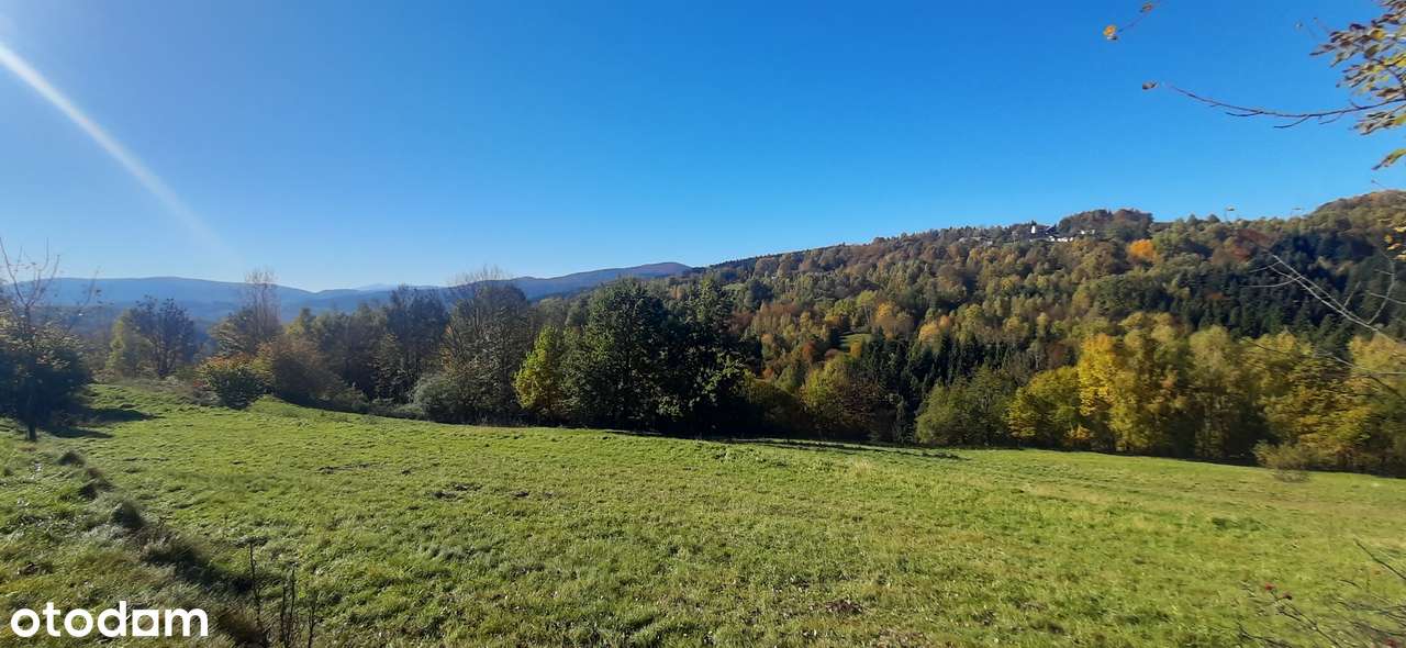 Budowlana działka w Pcimiu, dojazd, widoki - Pełny obrazek: 4/12