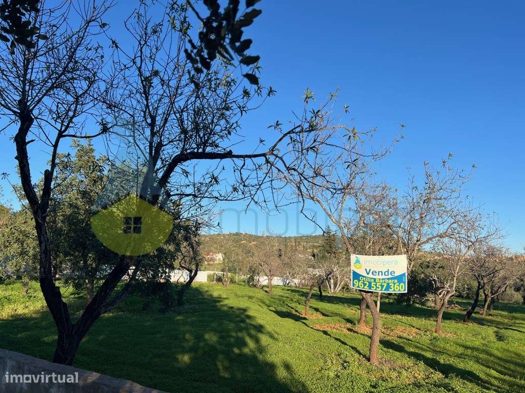 EXCELENTE LOTE DE TERRENO RÚSTICO (2.900 m2) COM AMENDOEIRAS - Grande imagem: 5/21