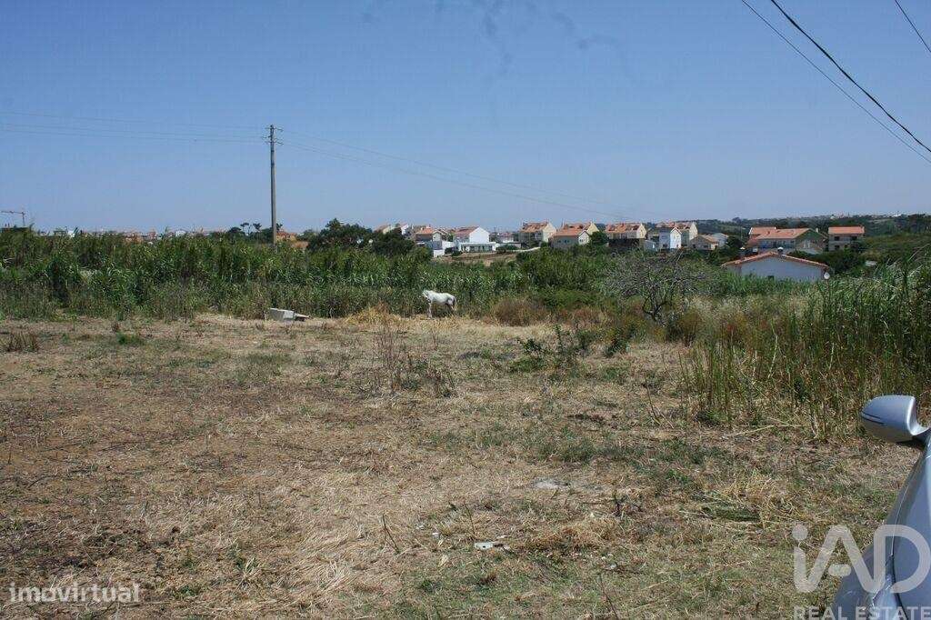 Terreno em A dos Cunhados e Maceira de 4160,00 m2 - Grande imagem: 4/14