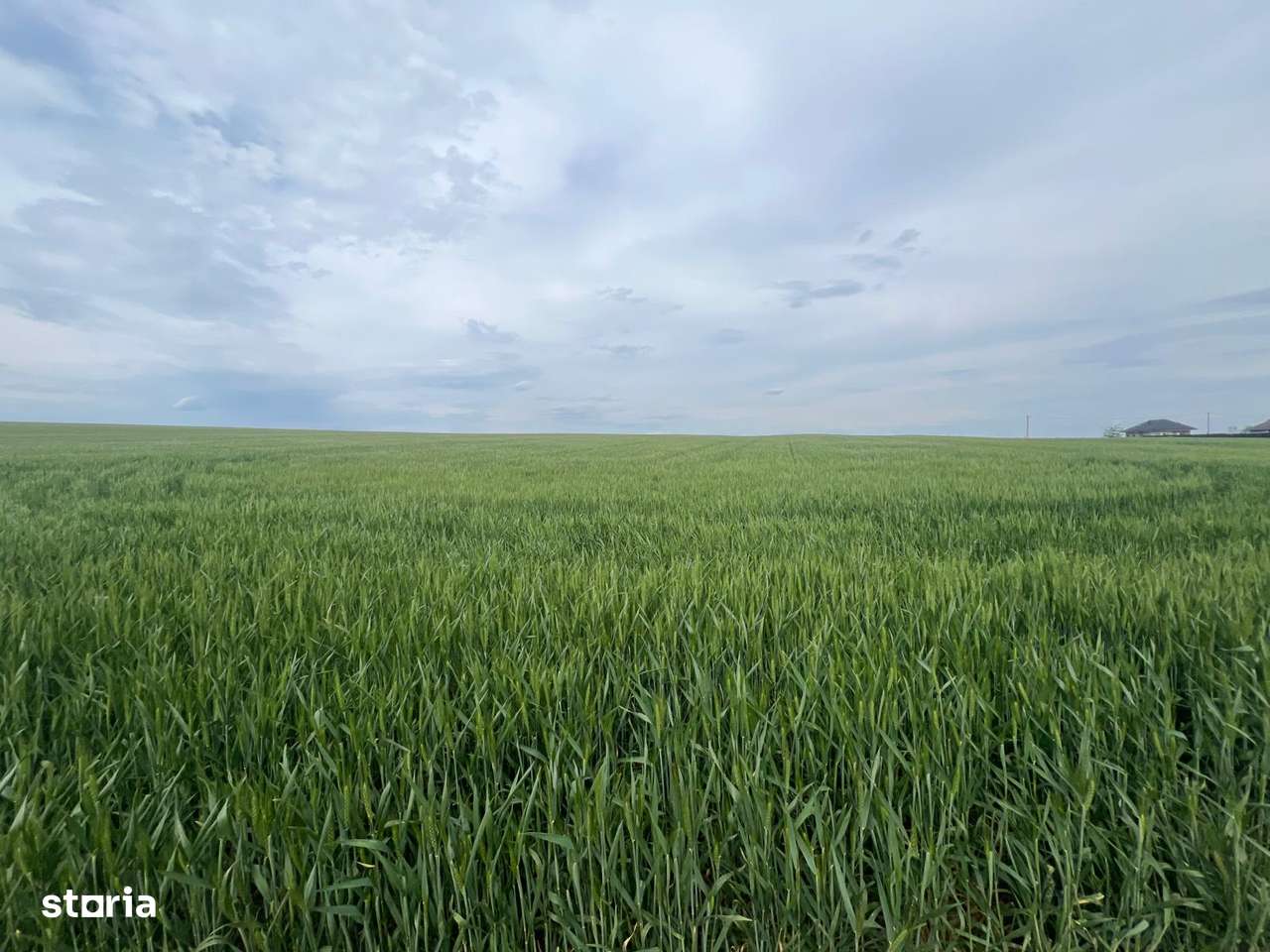 Teren agricol  12.5 hectare in Vetrisoaia Husi - Imagine principală: 1/1