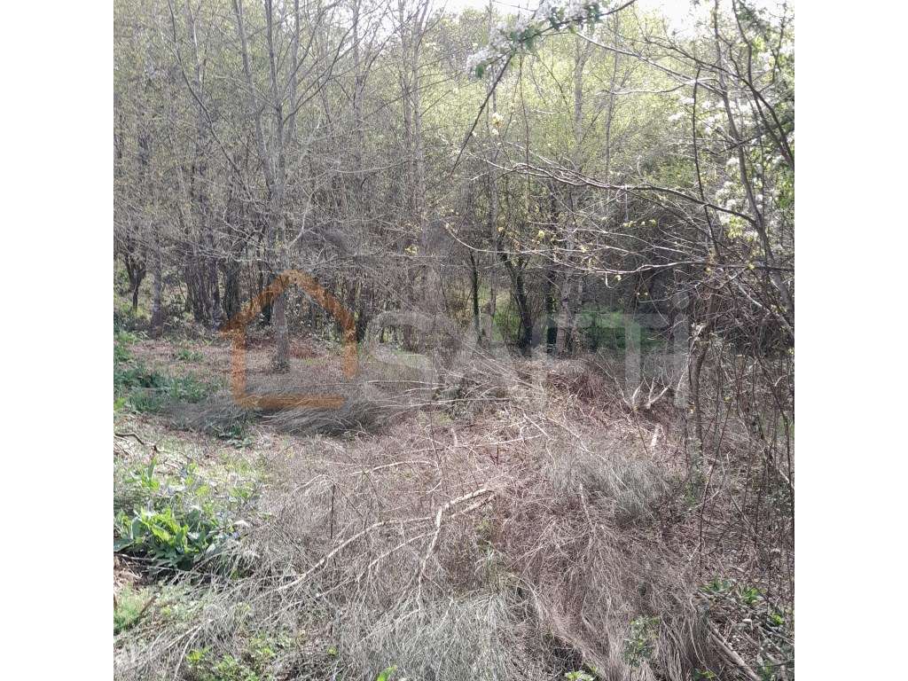 Terreno em local privilegiado - Grande imagem: 3/7