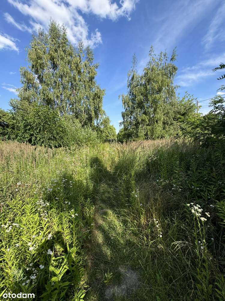 Działka Inwestycyjna Stary Imielin, Ursynów, Obok Jeziorko imielińskie - Pełny obrazek: 3/9