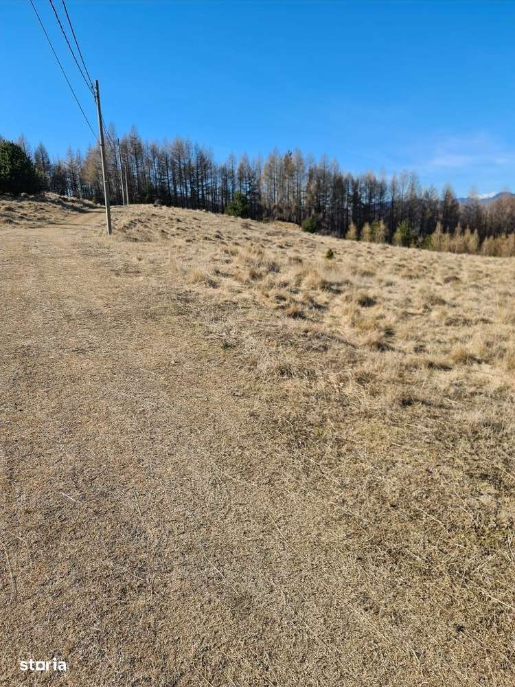 Teren pasune in zona lacului Mocearu - Imagine principală: 4/8