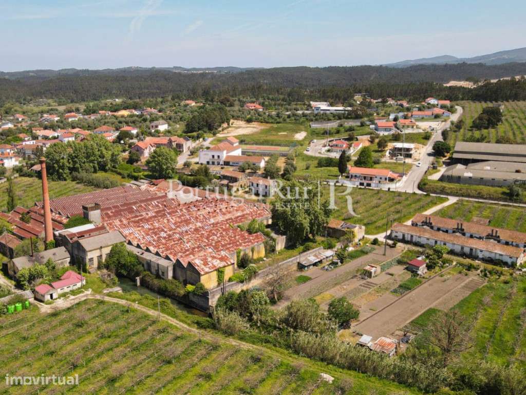 Quinta com 10ha com fins logísticos - Grande imagem: 4/16