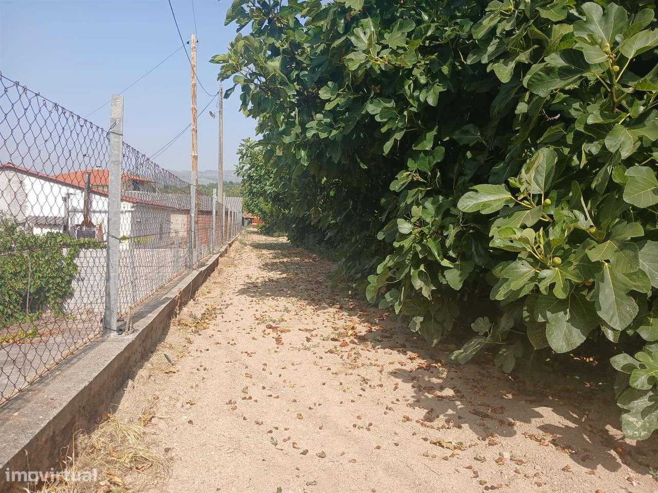 Terreno - Grande imagem: 4/10