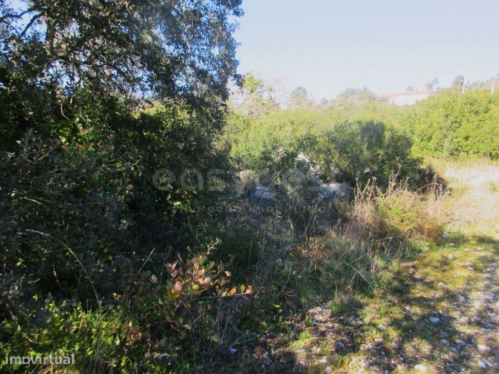 Terreno Urbano de 3244m² em Mira de Aire - Uma excelente opção para... - Grande imagem: 3/18