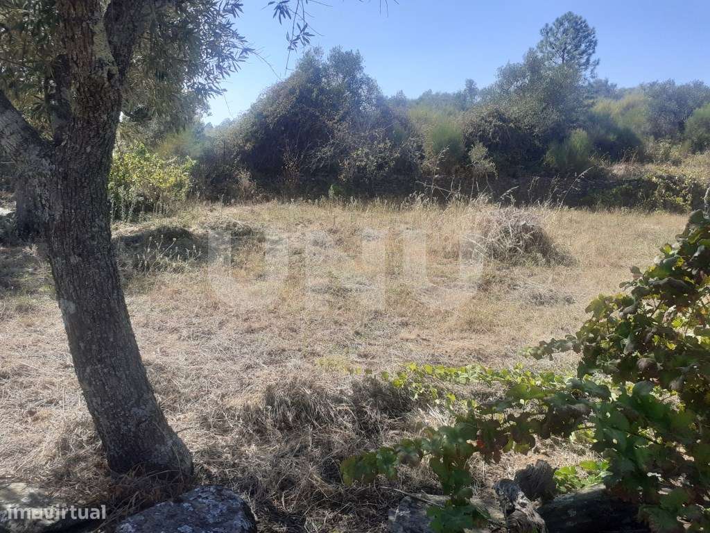 Terreno Rústico com 7500m2 de área - Grande imagem: 4/16