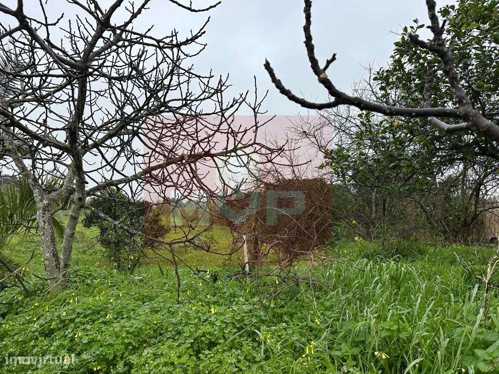 Terreno localizado em espaço urbanizável, Quelfes-6