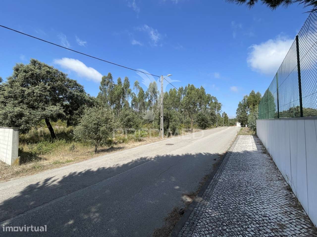 Terreno c/ 8274m2, Moimento, Fátima - Grande imagem: 5/22