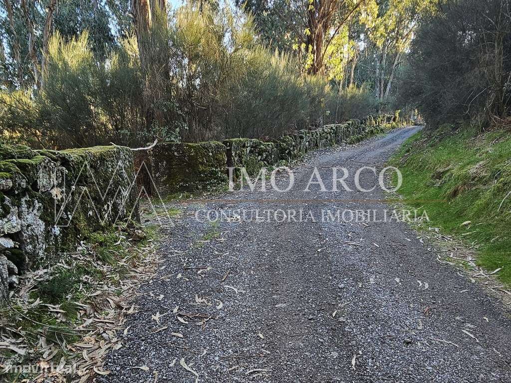 Terreno Rústico com 45.900 m² - Pedraça, Cabeceiras de Basto-19