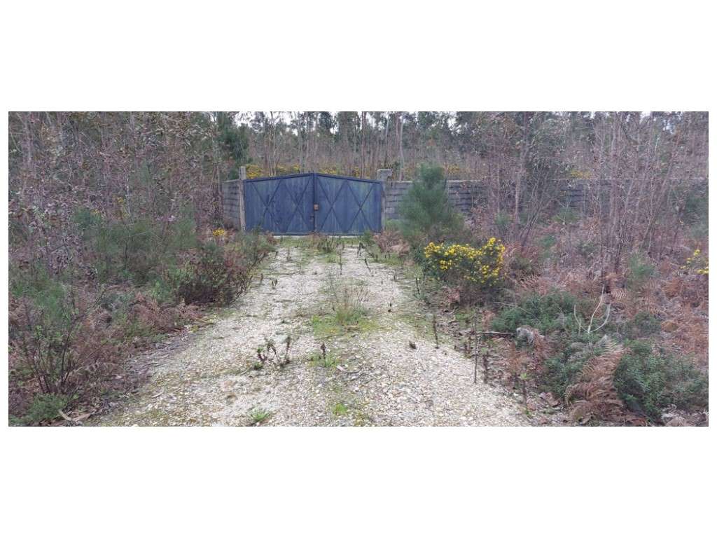 Quinta do Moleirinho, grande terreno com 14 ha nos Moinhos de Carvide - Grande imagem: 3/8