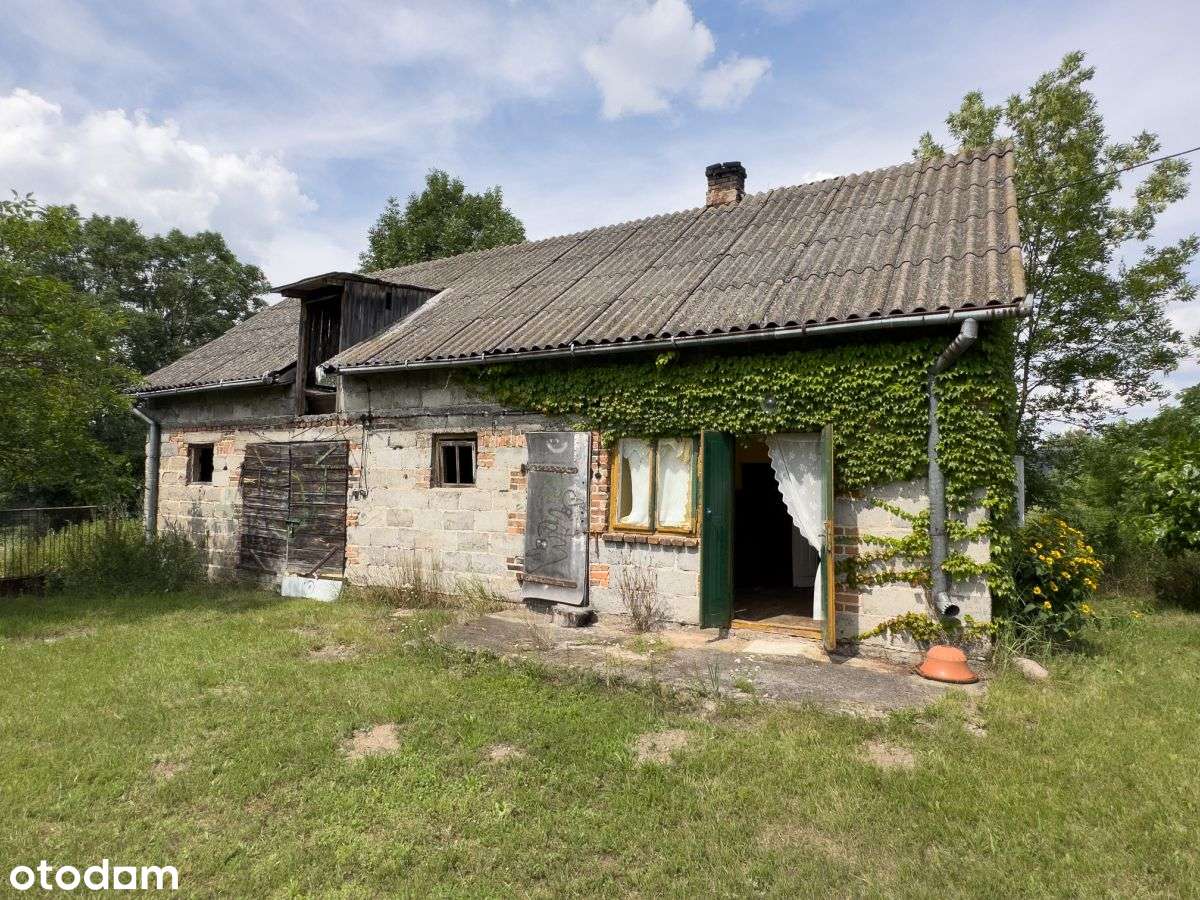 Siedlisko z domem i 2 200 m² działki nad Wisłą-18