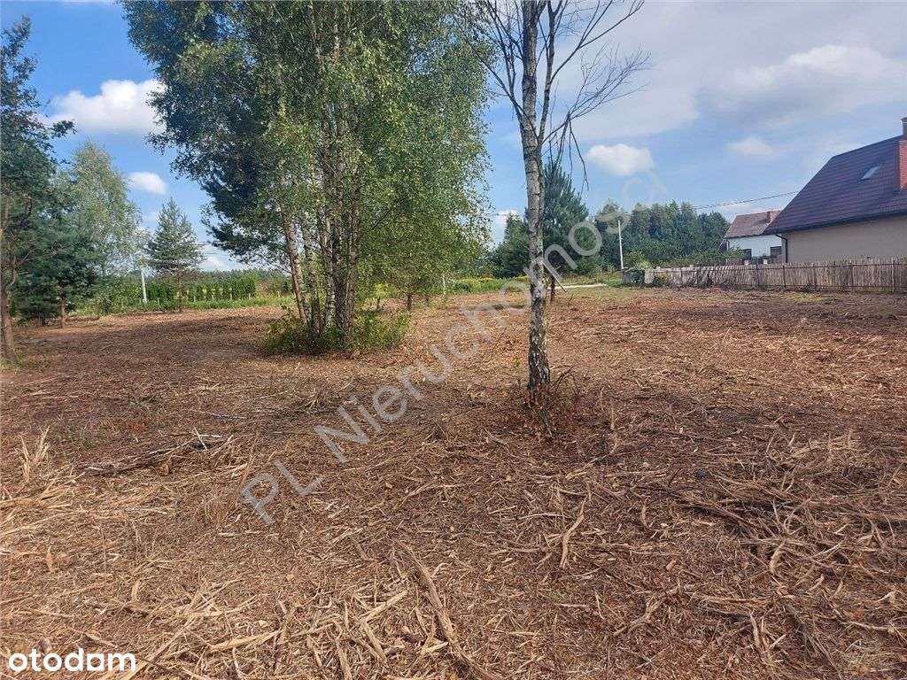 Działka, 1 313 m², Nowa Pogorzel - Pełny obrazek: 4/20