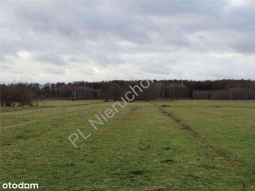 Działka Na Inwestycję. - Pełny obrazek: 4/8