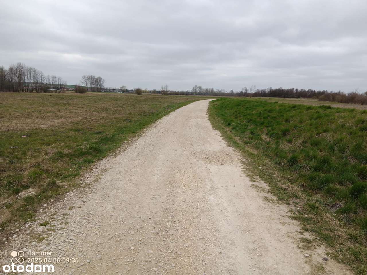 Duża działka nad rzeką  Nida - Pełny obrazek: 5/12