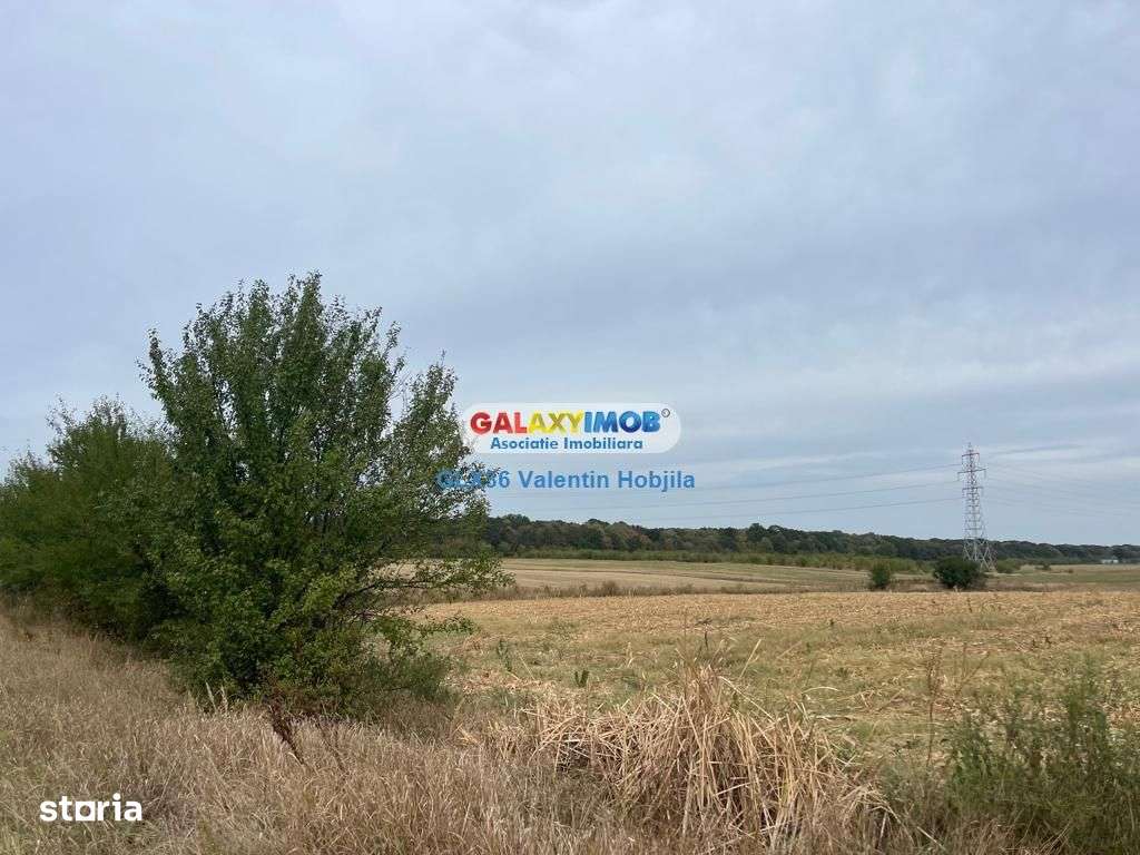 Vanzare teren 3300 mp Peris -deschidere padurea Scrovistea - Imagine principală: 5/5