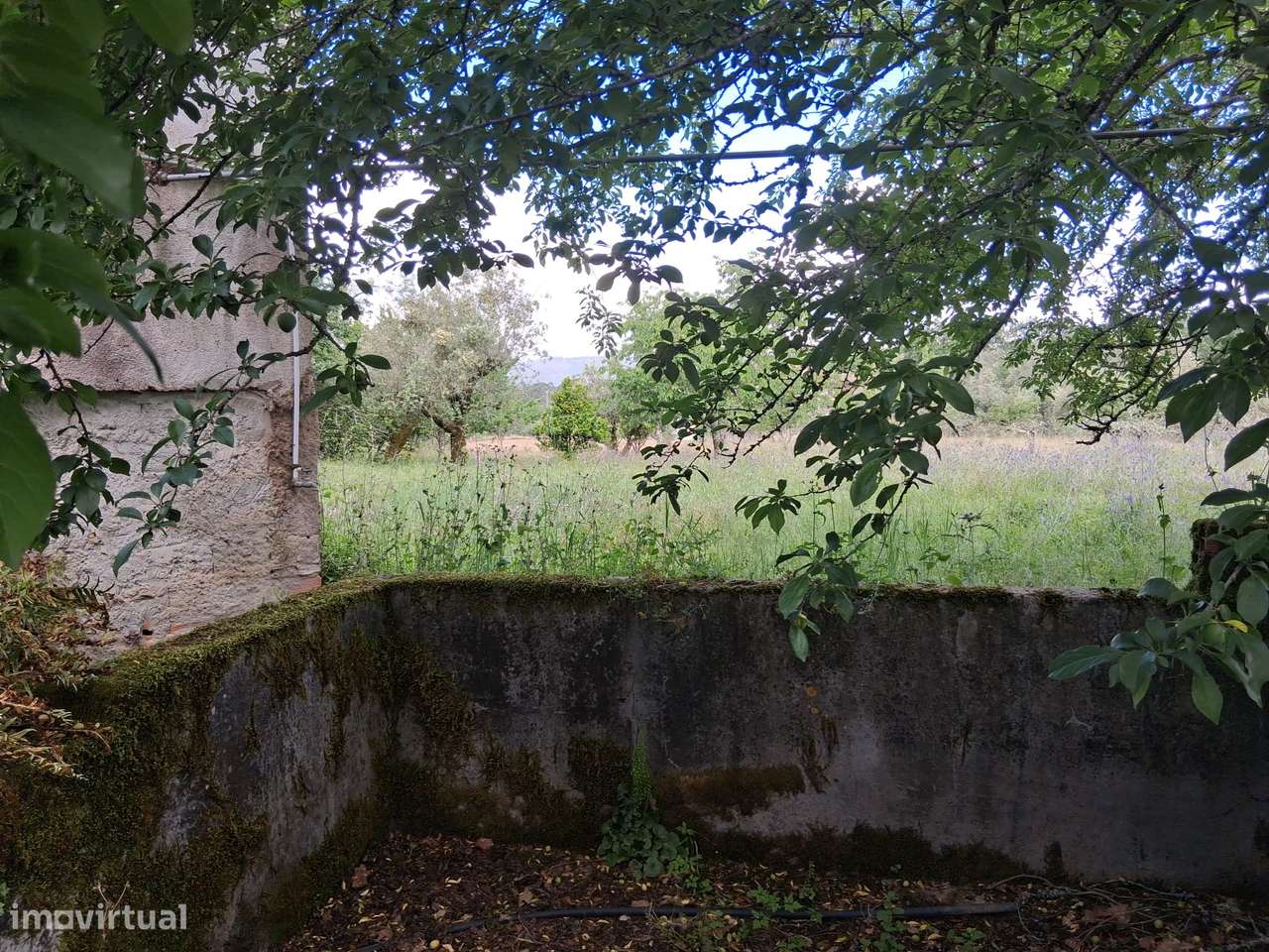 Moradia para Restaurar com Terreno Urbano – Cadaixo, Miranda do Corvo-24