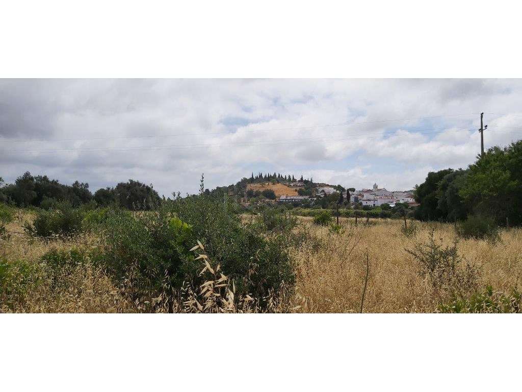 Terreno agrícola, várias culturas, Paderne, Albufeira, Algarve - Grande imagem: 2/15