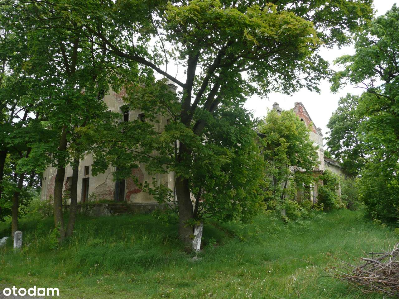 Zabytkowy Dwór z Parkiem-17