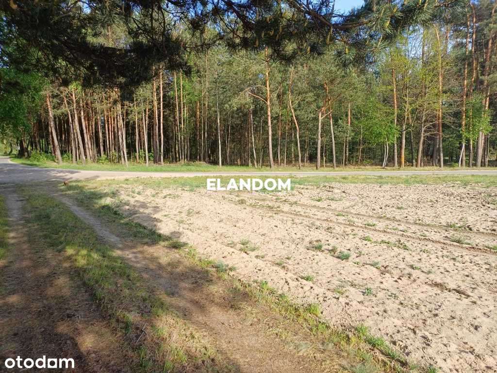 Działka rolno budowlana Gocław gmina Pilawa - Pełny obrazek: 4/7