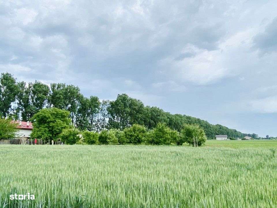 Teren rezidential langa lac Snagov in Silistea Snagovului iesire A3-5