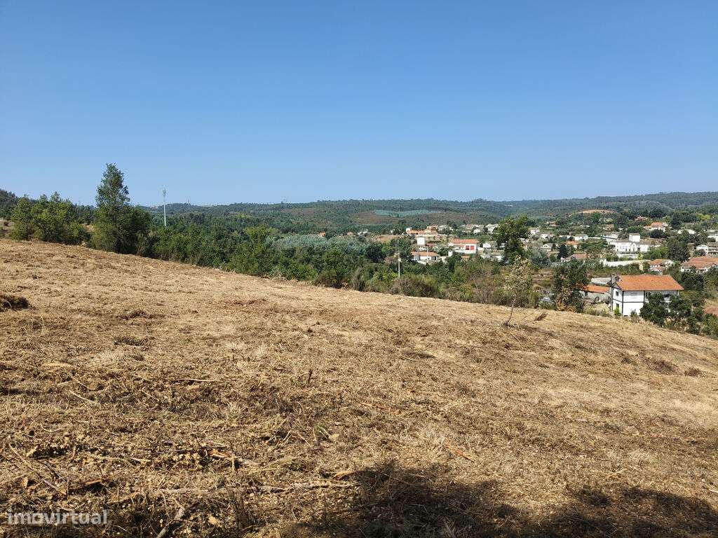 Venda Terreno - Grande imagem: 4/4