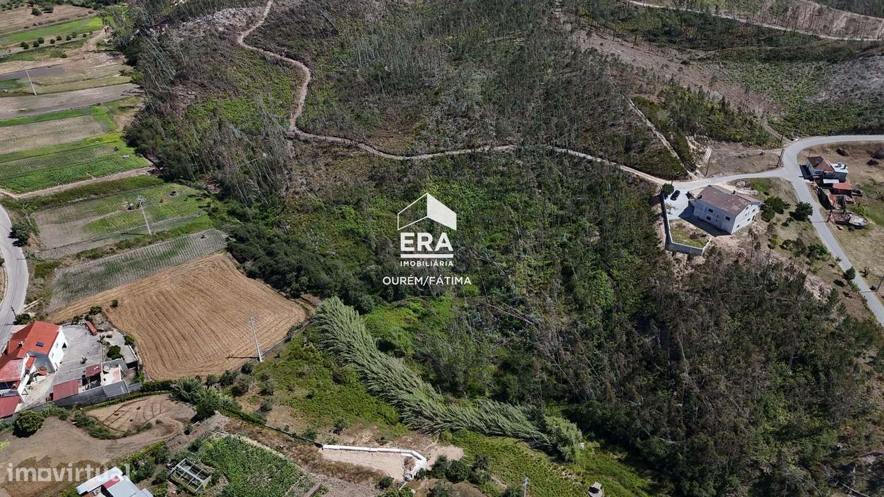 Terreno Florestal em Matas, Ourém-8