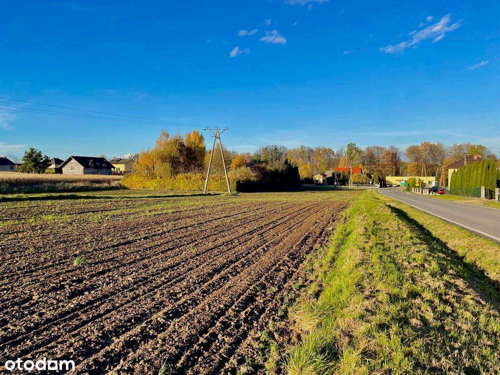 Przestronna,  26 arowa  działka budowlana w Osieku-4