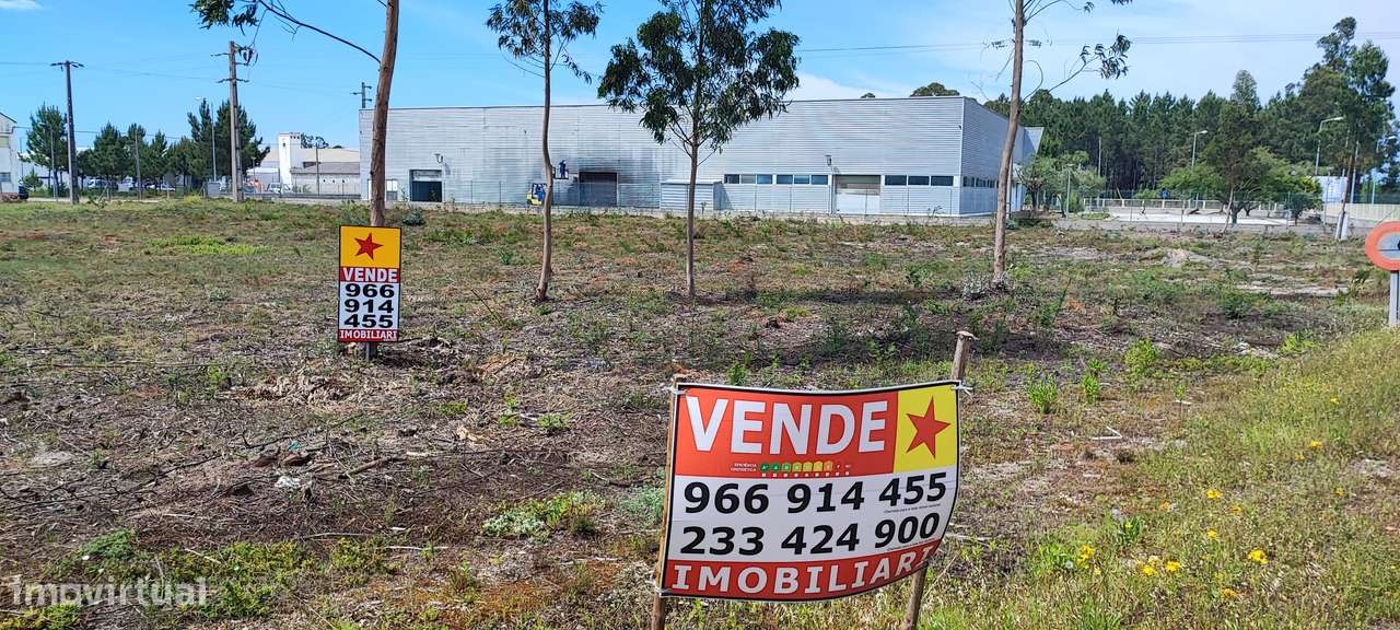 Zona Industrial CANTANHEDE - LOTE de Excelência-30