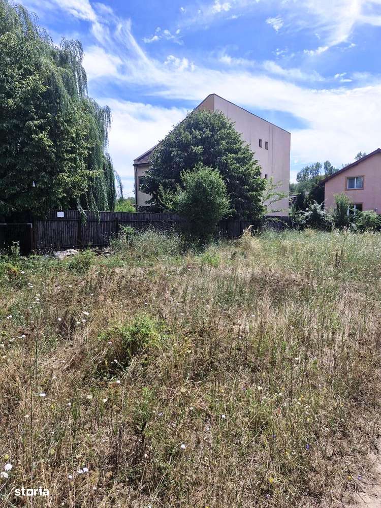 Ciorogarla -Padure - Imagine principală: 4/8