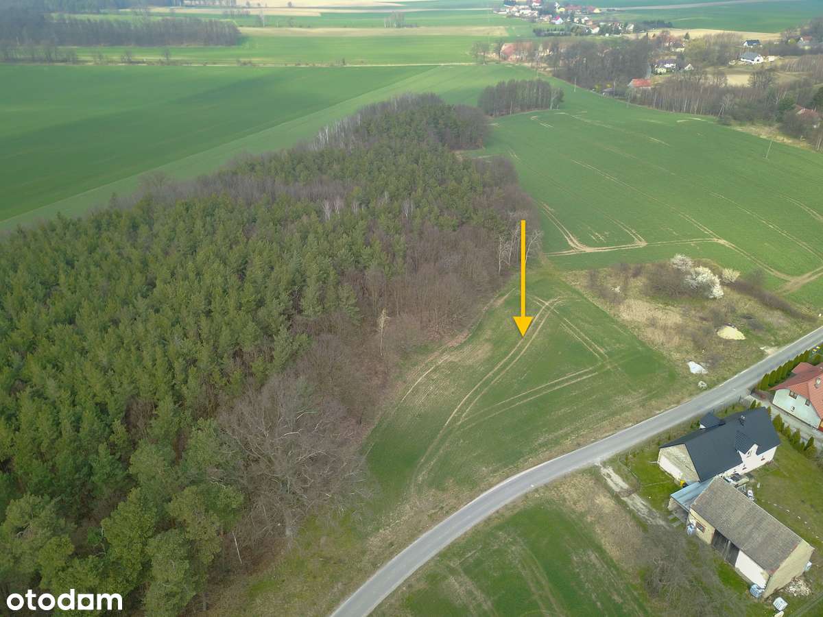 Chojnów, Okmiany, Okmiany - Pełny obrazek: 2/4