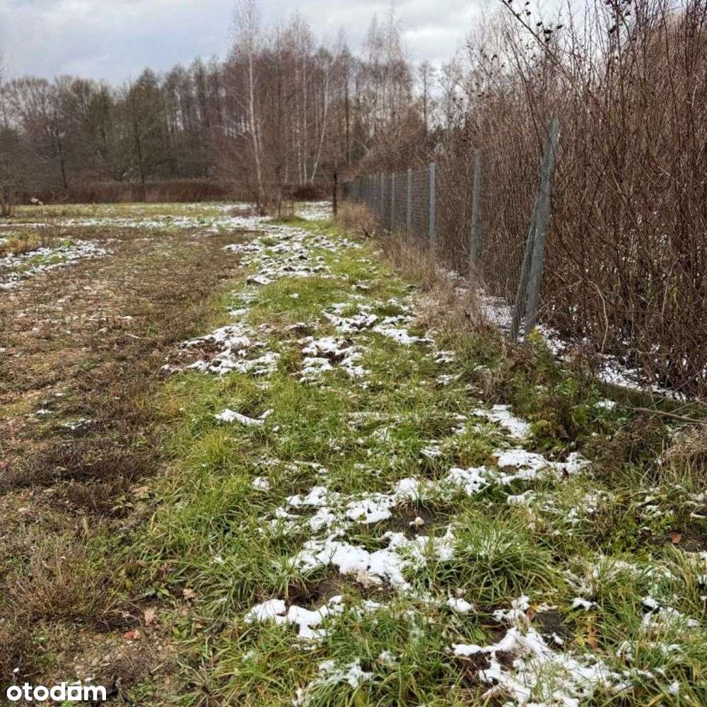 3 działki po1000m plus droga  plan zag-0