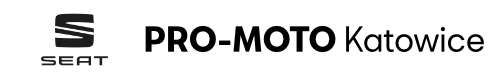Seat PRO-MOTO logo