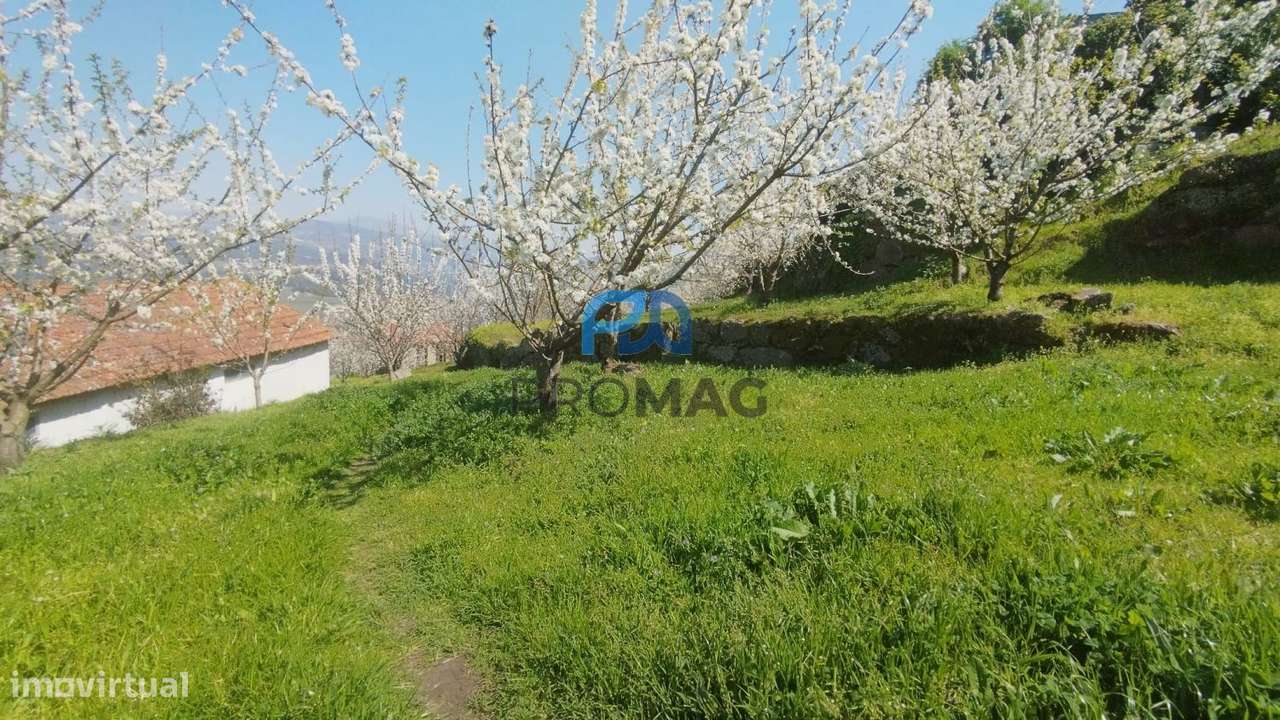 Quinta do Valado- Excelente Investimento em Resende-19
