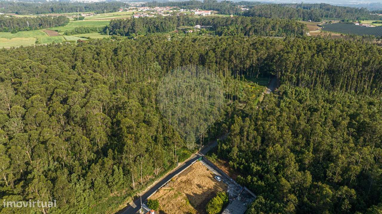 Terreno  para venda - Grande imagem: 4/14