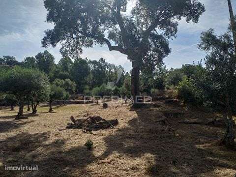 Terreno para Construção - Grande imagem: 5/11
