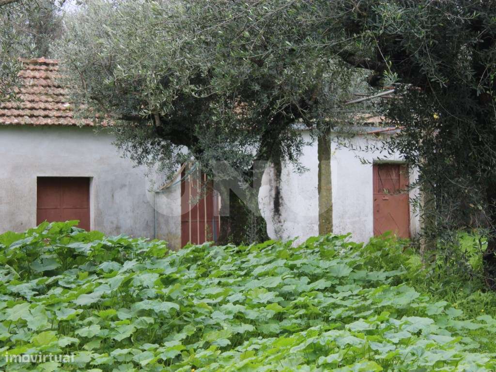 Quintinha com 4250m2 - Grande imagem: 3/21