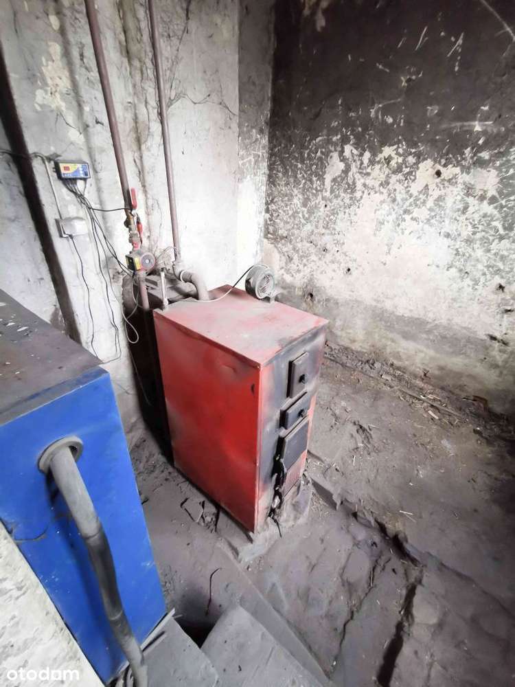 Działka, 7 297 m², Janów-9