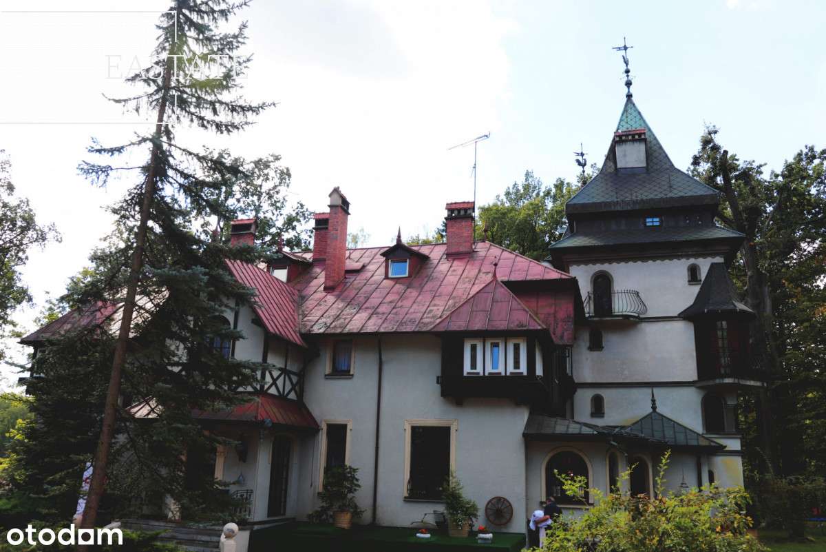 Zabytkowy pałacyk z wieloma możliwościami - Pełny obrazek: 4/18