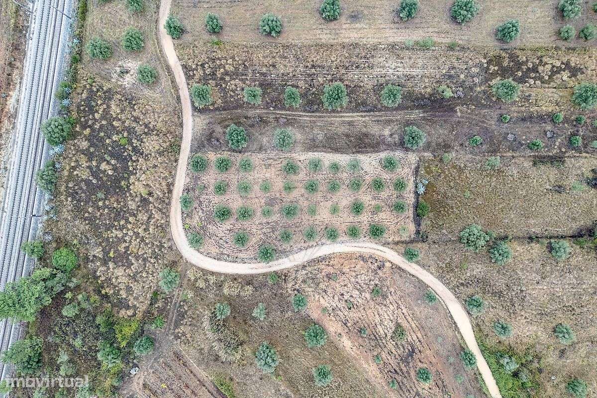 Industrial  para venda - Grande imagem: 4/8